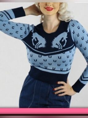 Two-Tone Navy and Light Blue Crewneck Sweater with Graphic